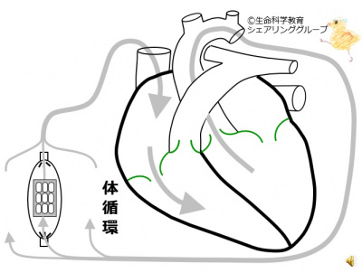 /wiki/images/thumb/4/4c/01691.jpg/400px-01691.jpg