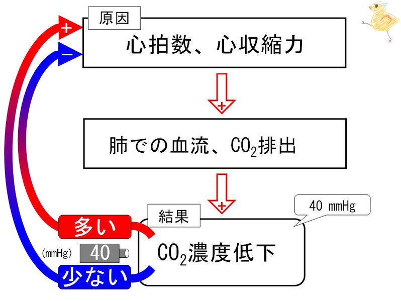 ファイル:02228.jpg