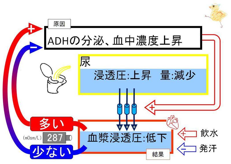 ファイル:02341.jpg
