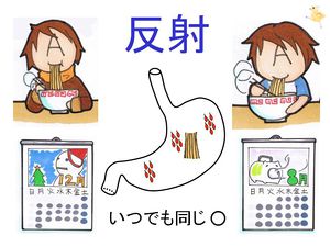 /wiki/images/thumb/4/4d/02742.jpg/300px-02742.jpg