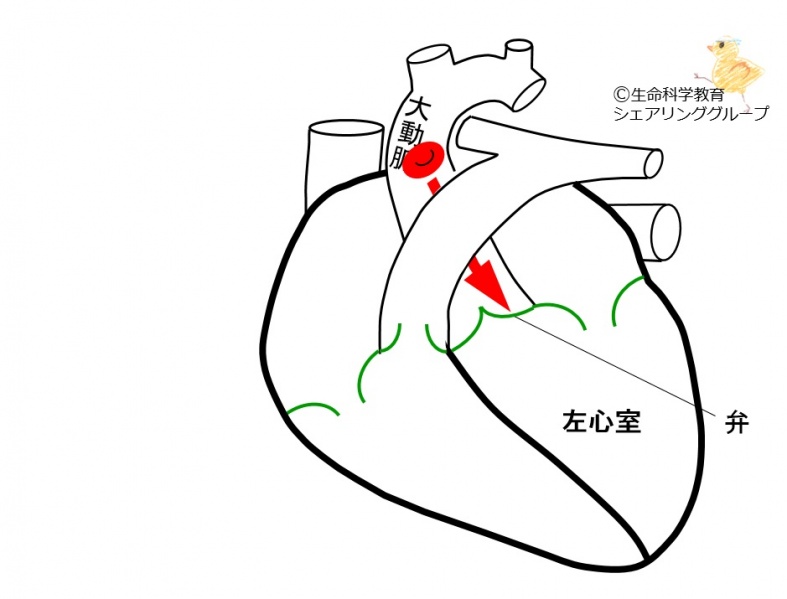 ファイル:03281.jpg