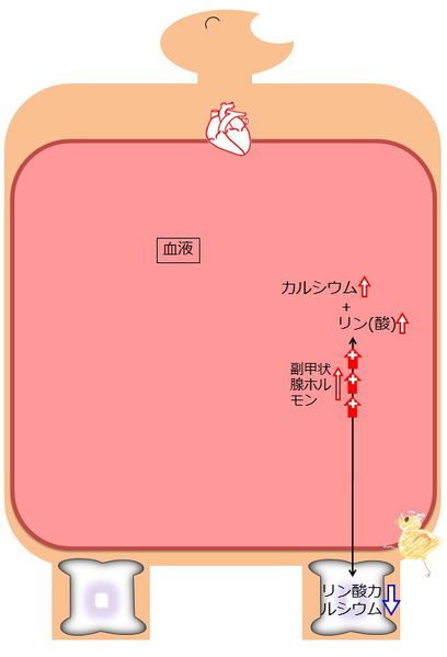 ファイル:04408.jpg