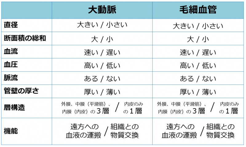 ファイル:04459-wb.jpg