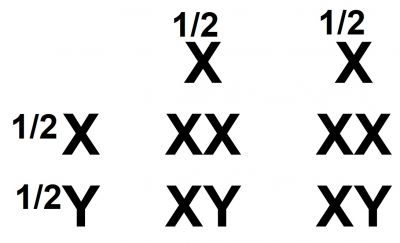 /wiki/images/thumb/4/4e/01033.jpg/400px-01033.jpg