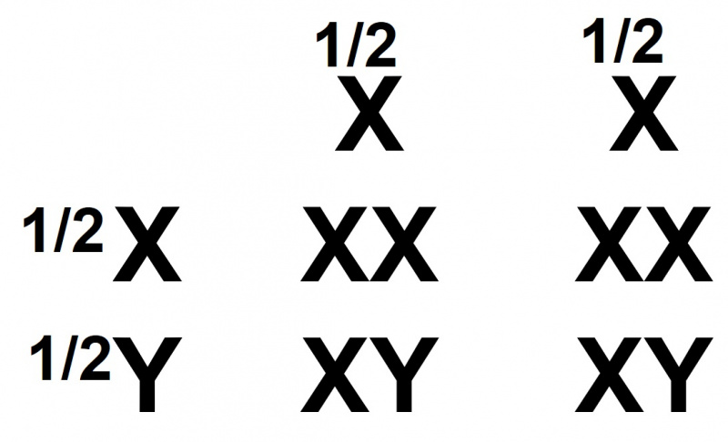 ファイル:01033.jpg
