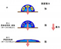 2020年10月27日 (火) 15:34時点における版のサムネイル