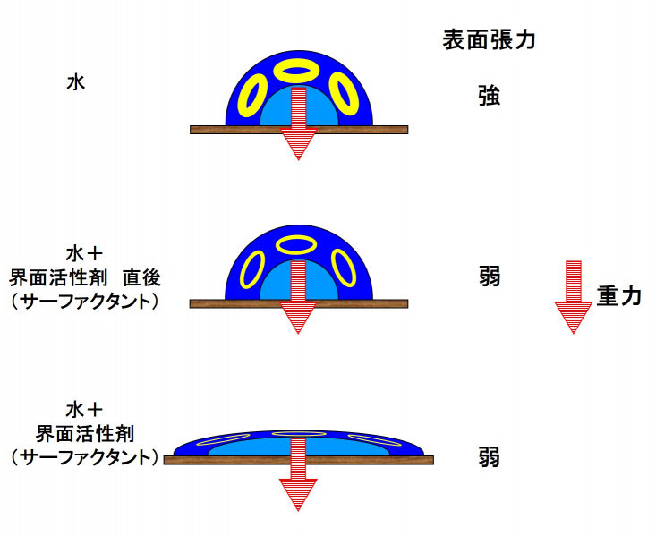 ファイル:サーファクタント.jpg