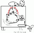 00672.gif