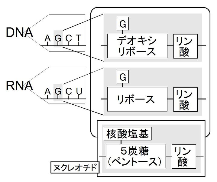 ファイル:01870.jpg