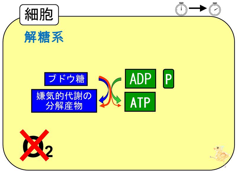 ファイル:04181.jpg