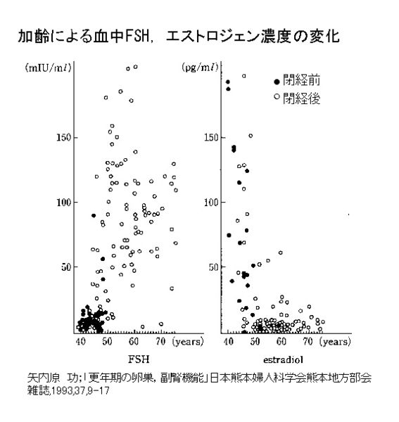 ファイル:00822.jpg