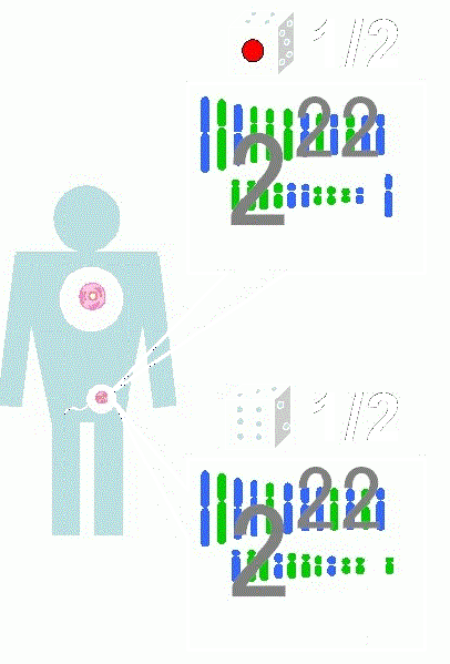 ファイル:01168-wb.gif