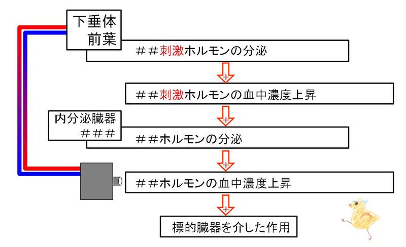 ファイル:02531.jpg