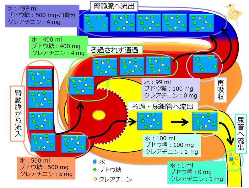 ファイル:04305.jpg
