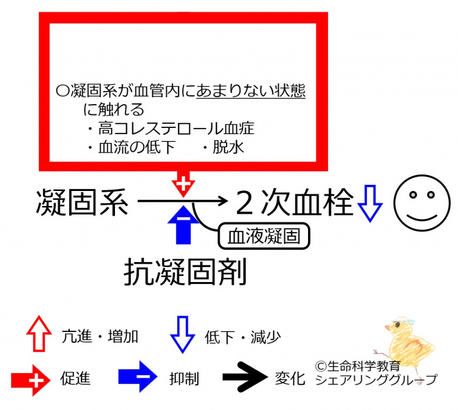 ファイル:Anti-coagulation.jpg