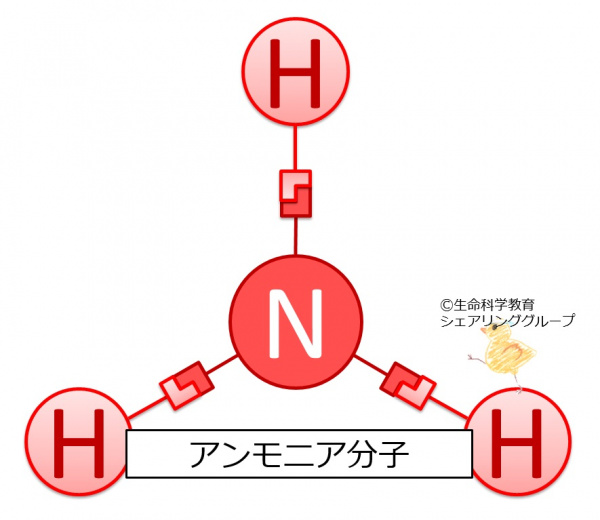 アンモニア_分子.jpg