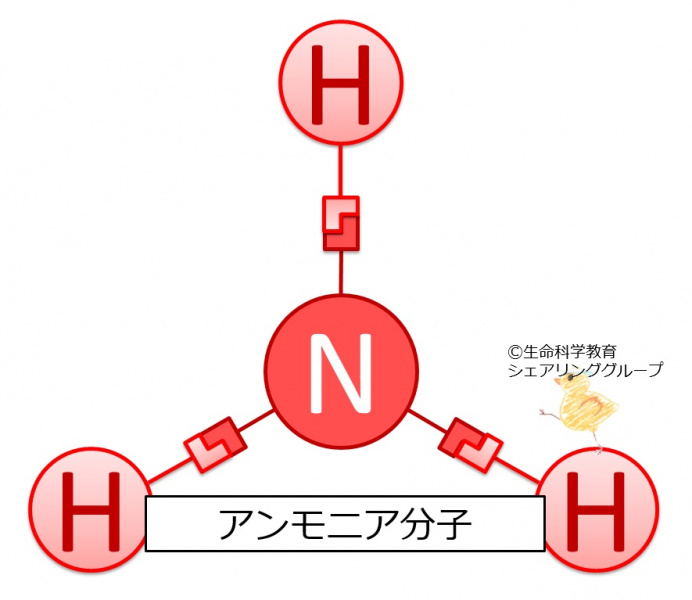 ファイル:アンモニア 分子.jpg