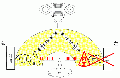 00252.gif
