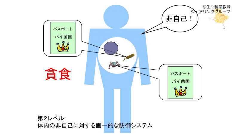 ファイル:01643.jpg