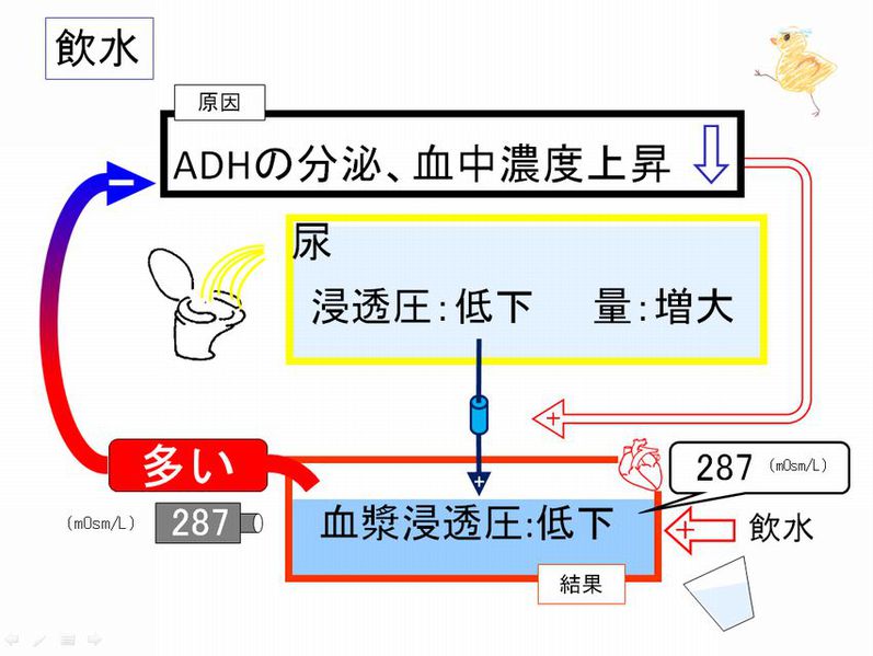 ファイル:02377.jpg