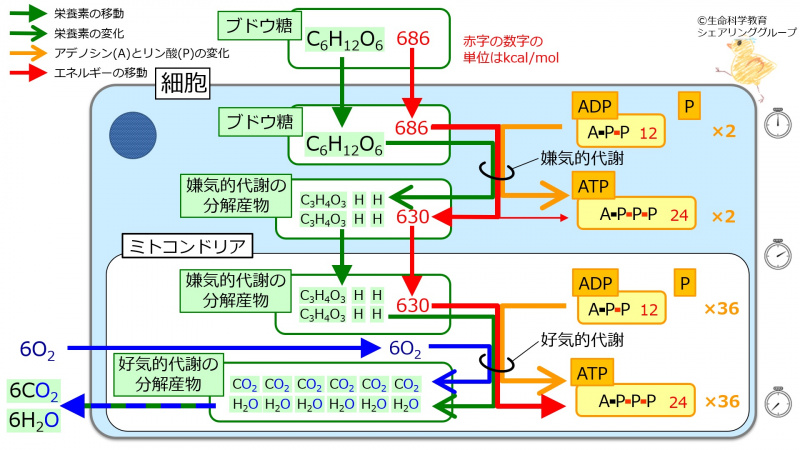 ファイル:04022.jpg