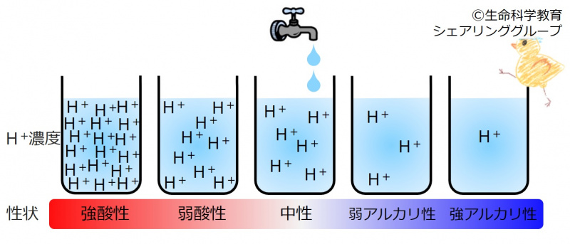 ファイル:04390.jpg