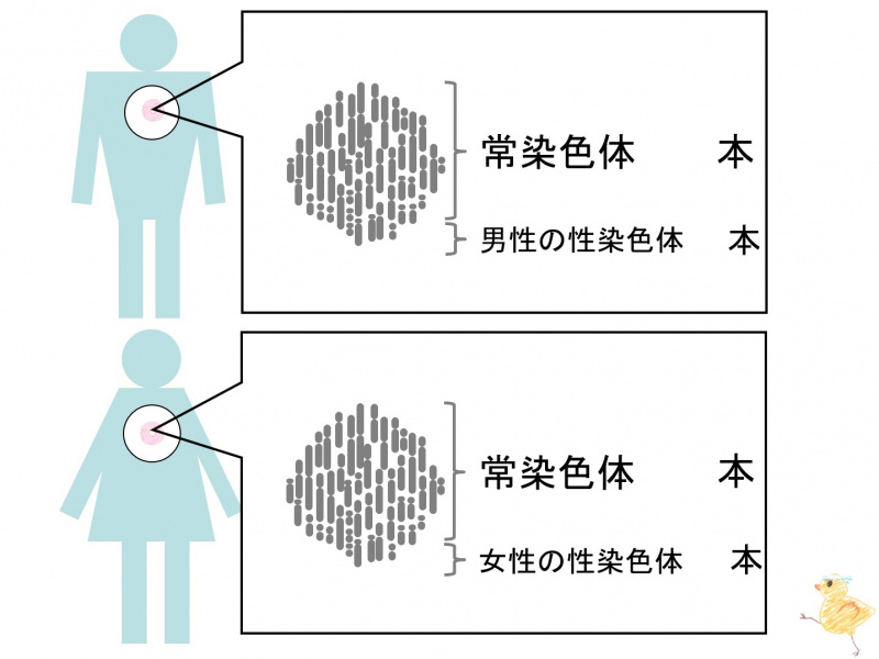 ファイル:01660-wb.jpg