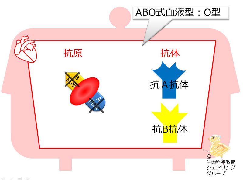 ファイル:04553.jpg