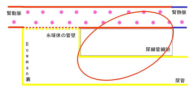 ファイル:00287.jpg