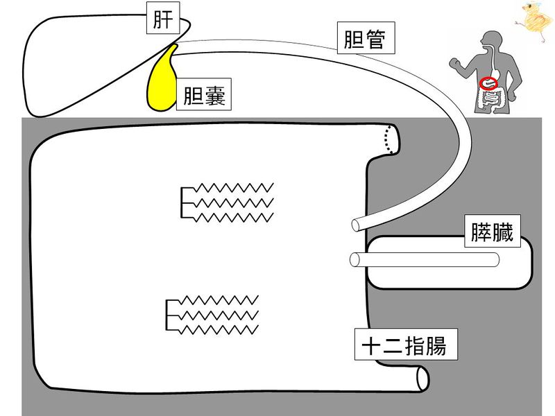 ファイル:01449.jpg