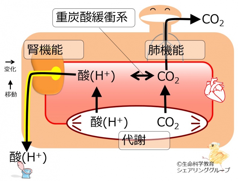 ファイル:04406.jpg