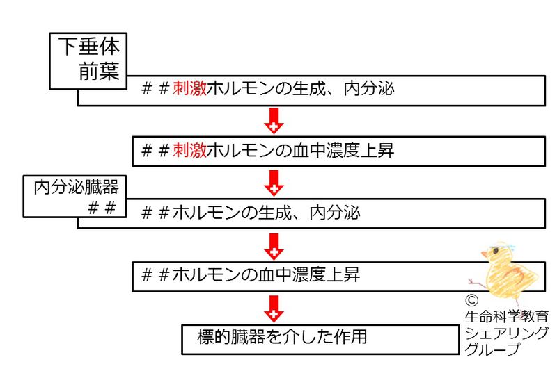 ファイル:04625.jpg