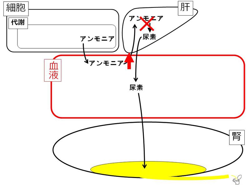 ファイル:01362.jpg