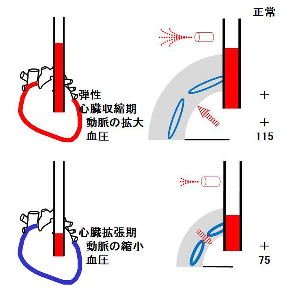 ファイル:01415.jpg