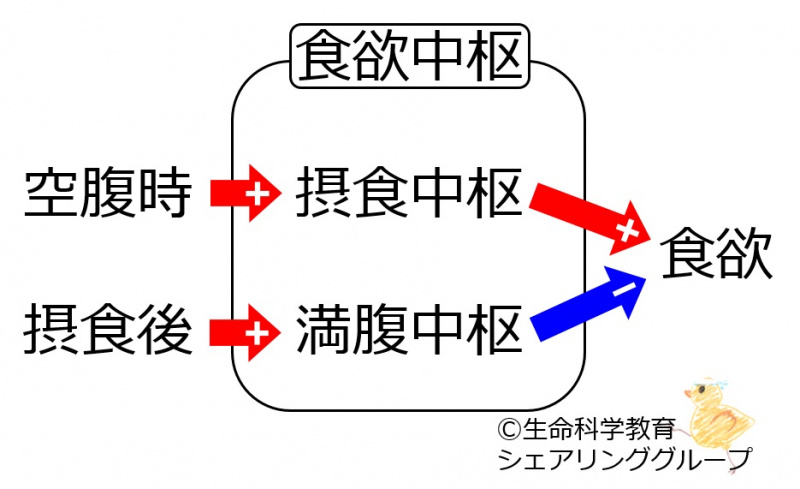 ファイル:04012.jpg