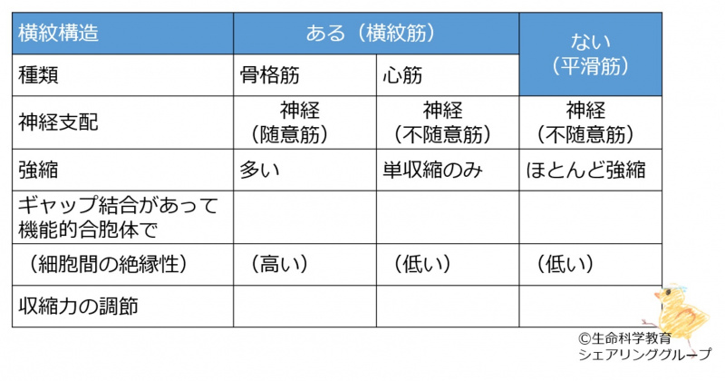 ファイル:Musclestabel major-wb.jpg