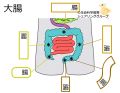 2024年1月10日 (水) 14:20時点における版のサムネイル
