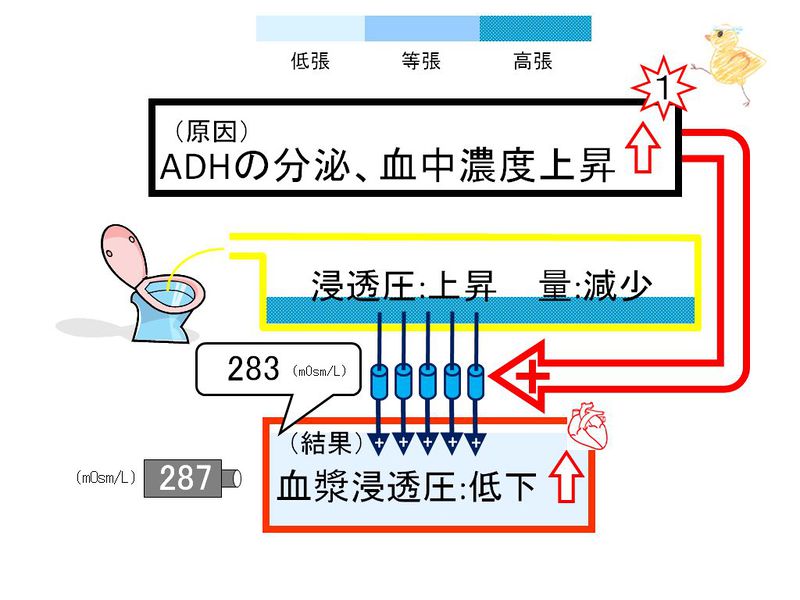 ファイル:02892.jpg