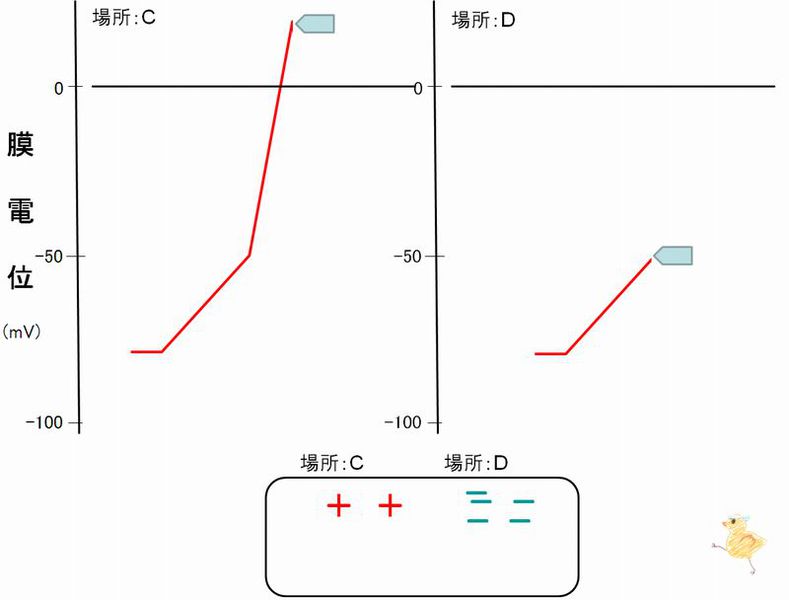 ファイル:02994.jpg