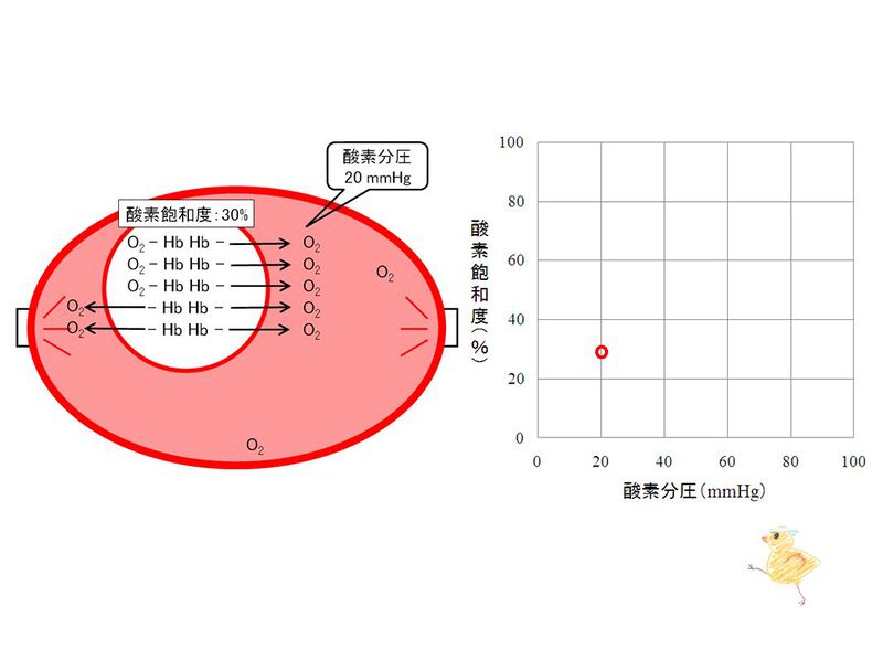 ファイル:03303.jpg