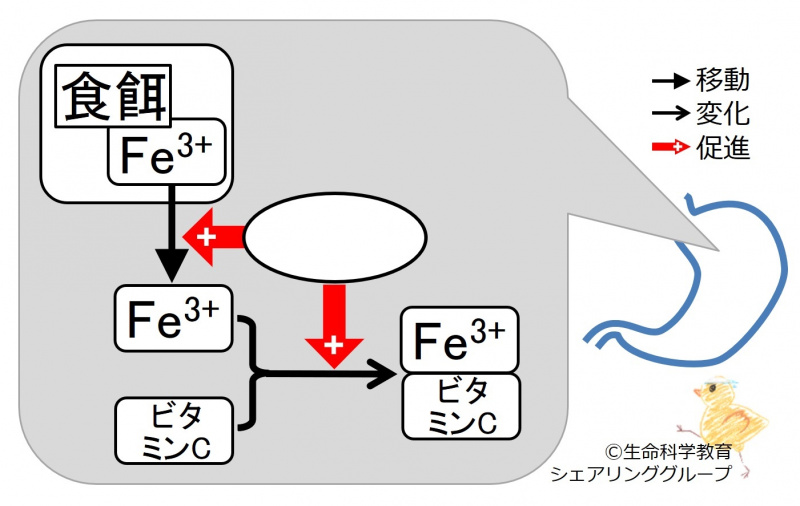 ファイル:03396-wb.jpg