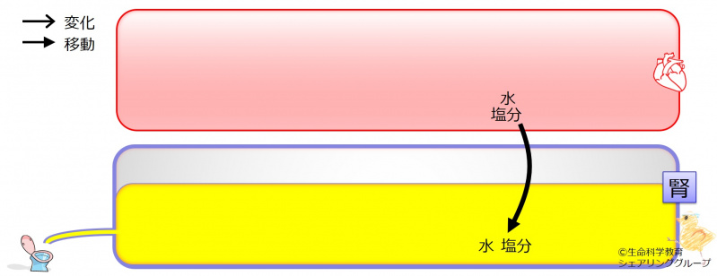 ファイル:03804.jpg