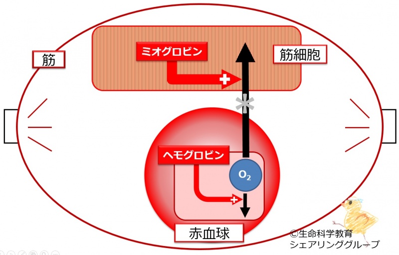 ファイル:04088.jpg