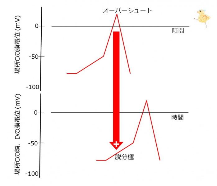 ファイル:04359-wb.jpg