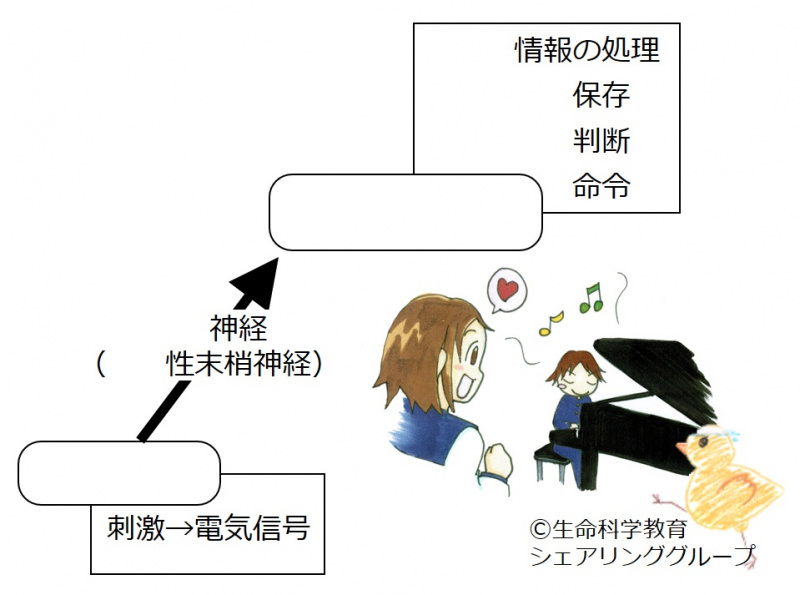 ファイル:03781-wb.jpg