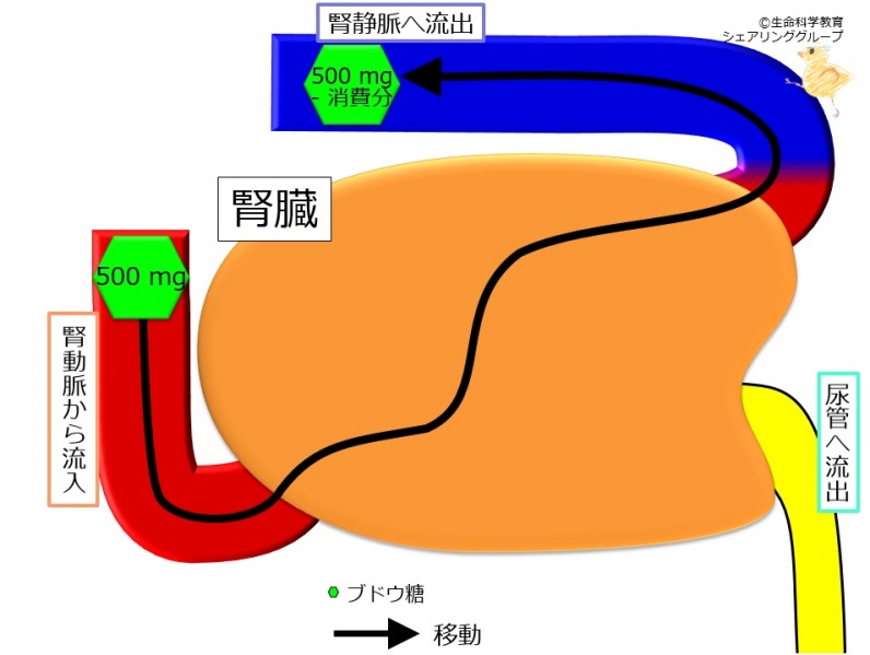 ファイル:04331.jpg