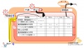 2016年8月25日 (木) 17:14時点における版のサムネイル