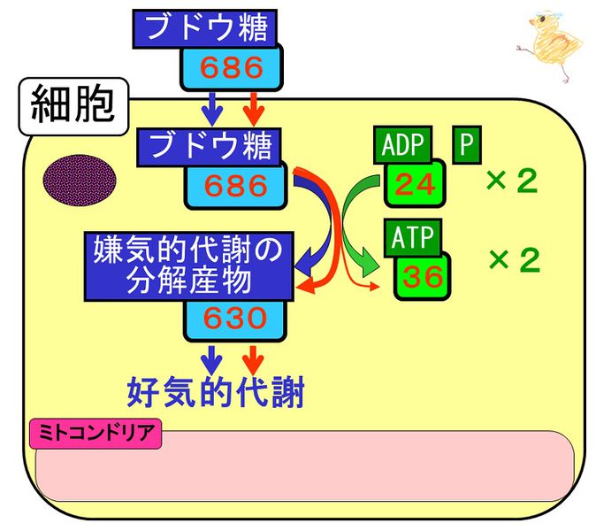 ファイル:03504.jpg