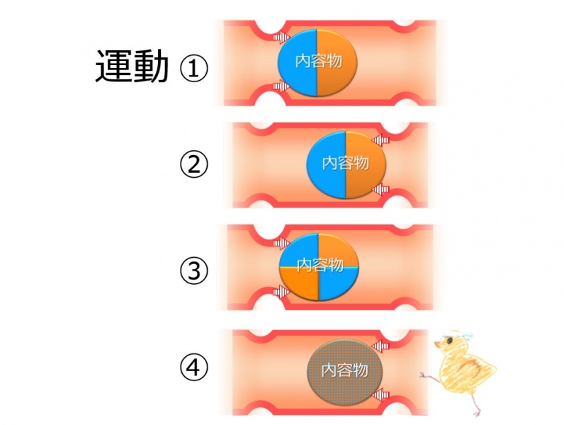 ファイル:04067-wb.jpg