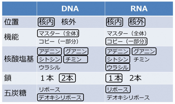 DNARNAtable-2.jpg